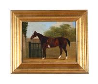 BRITISH SCHOOL (19TH CENTURY), STUDY OF A SADDLED HUNTER