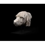 A PLASTER MODEL OF THE HEAD OF A HOUND, 20TH CENTURY