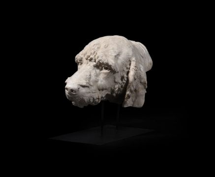 A PLASTER MODEL OF THE HEAD OF A HOUND, 20TH CENTURY