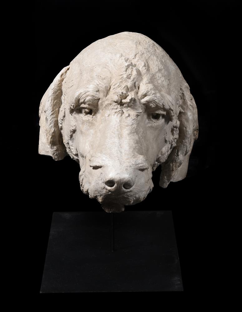 A PLASTER MODEL OF THE HEAD OF A HOUND, 20TH CENTURY - Image 2 of 4