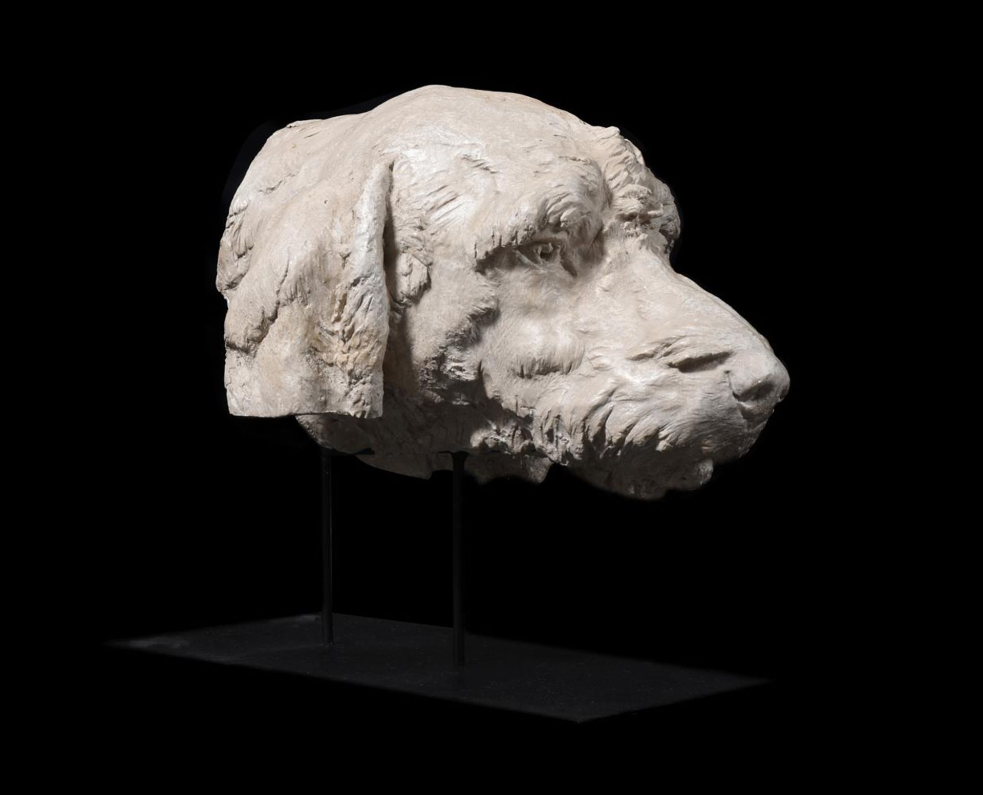 A PLASTER MODEL OF THE HEAD OF A HOUND, 20TH CENTURY - Image 3 of 4