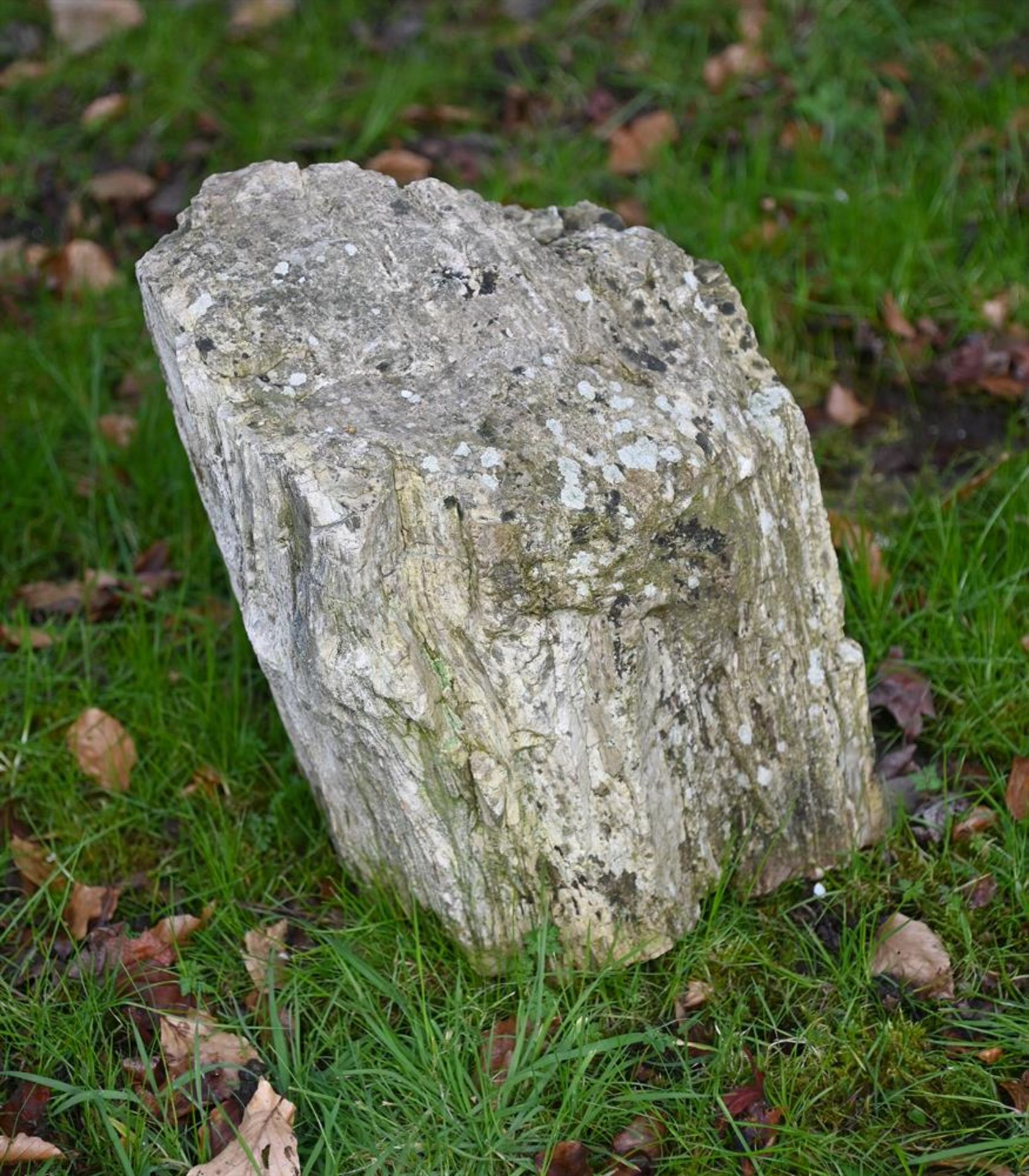 A FRAGMENT OF PETRIFIED WOOD - Image 2 of 2