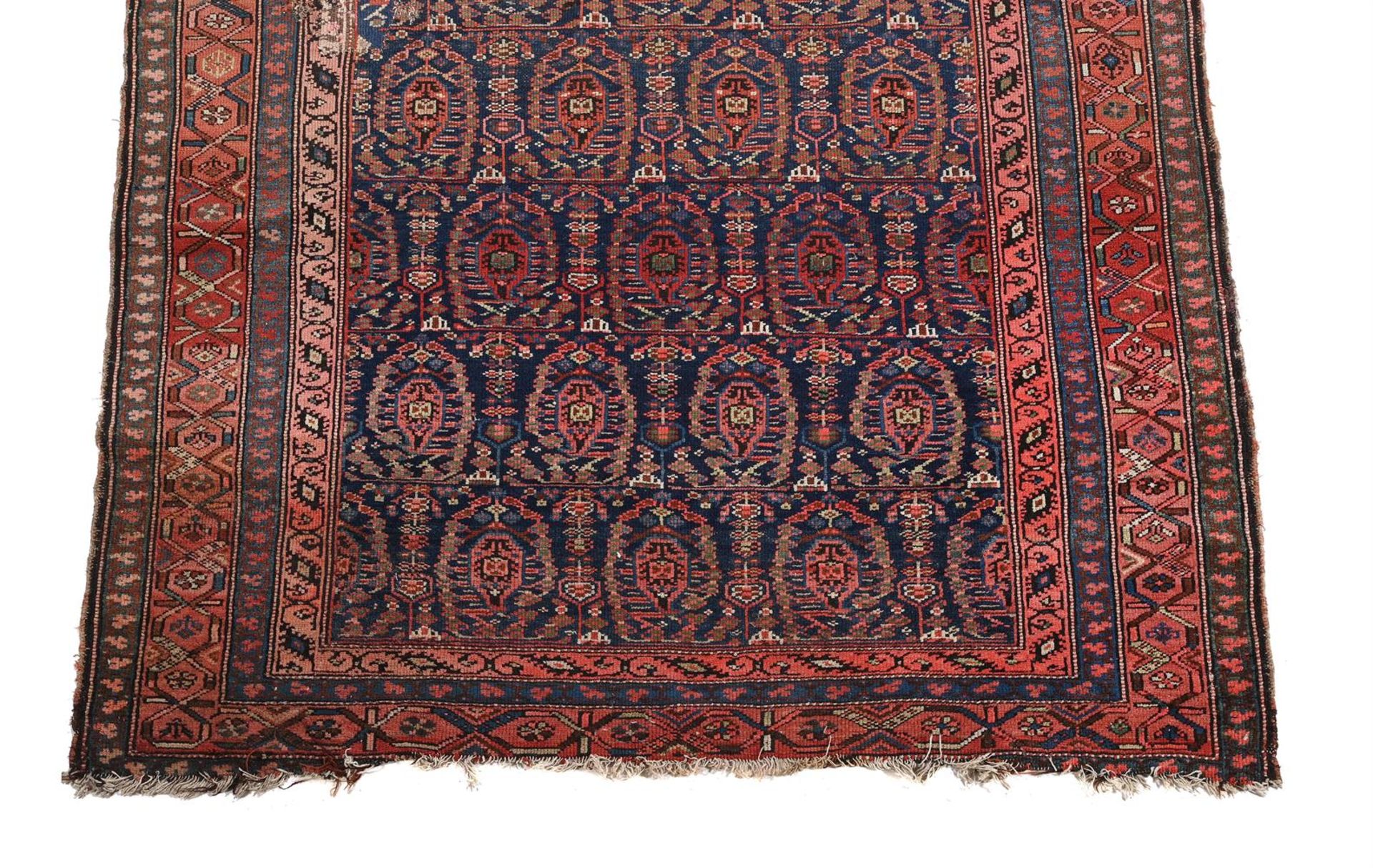 A SENNEH GALLERY CARPET - Bild 2 aus 2