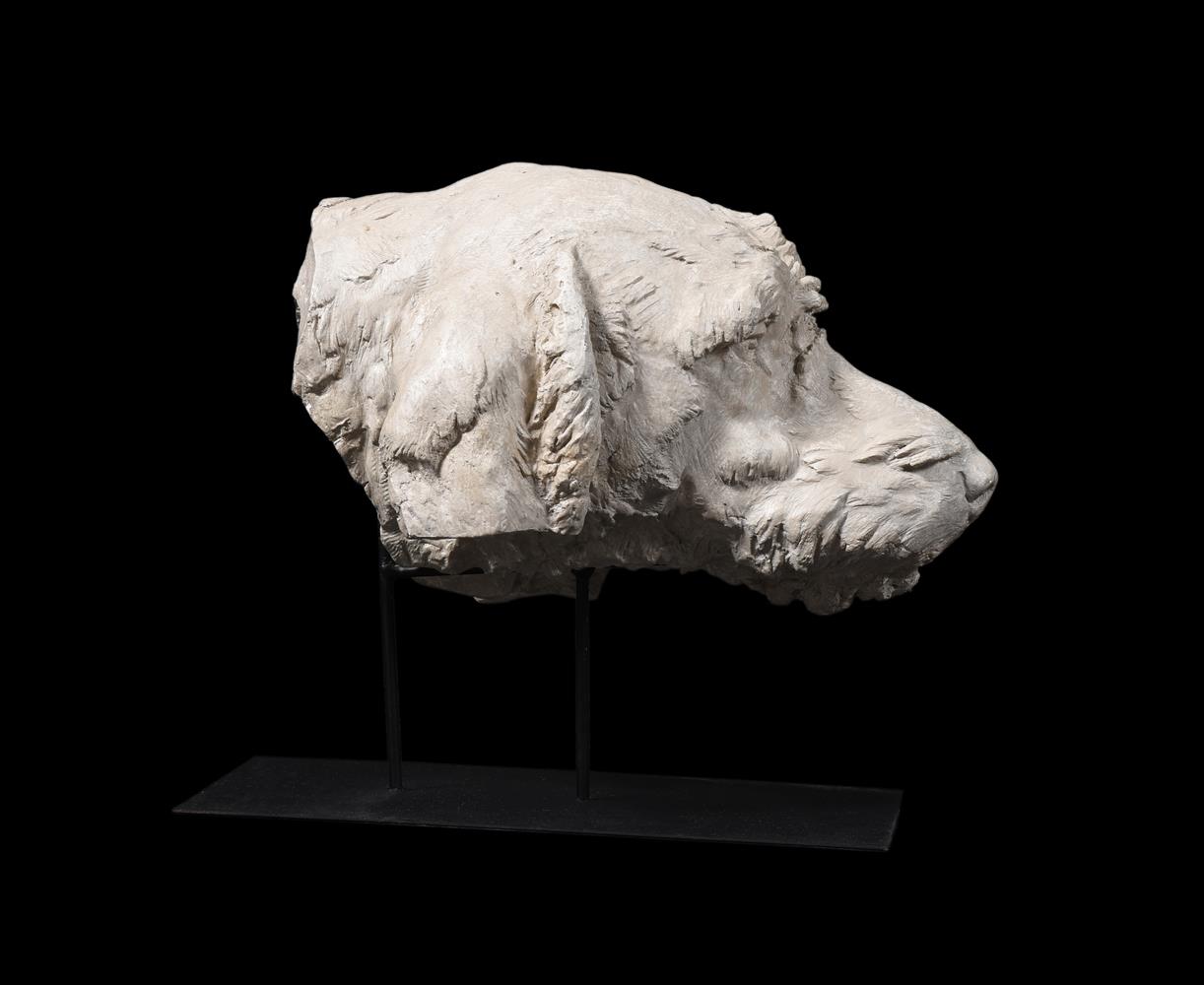 A PLASTER MODEL OF THE HEAD OF A HOUND, 20TH CENTURY - Image 4 of 4