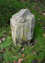 A FRAGMENT OF PETRIFIED WOOD