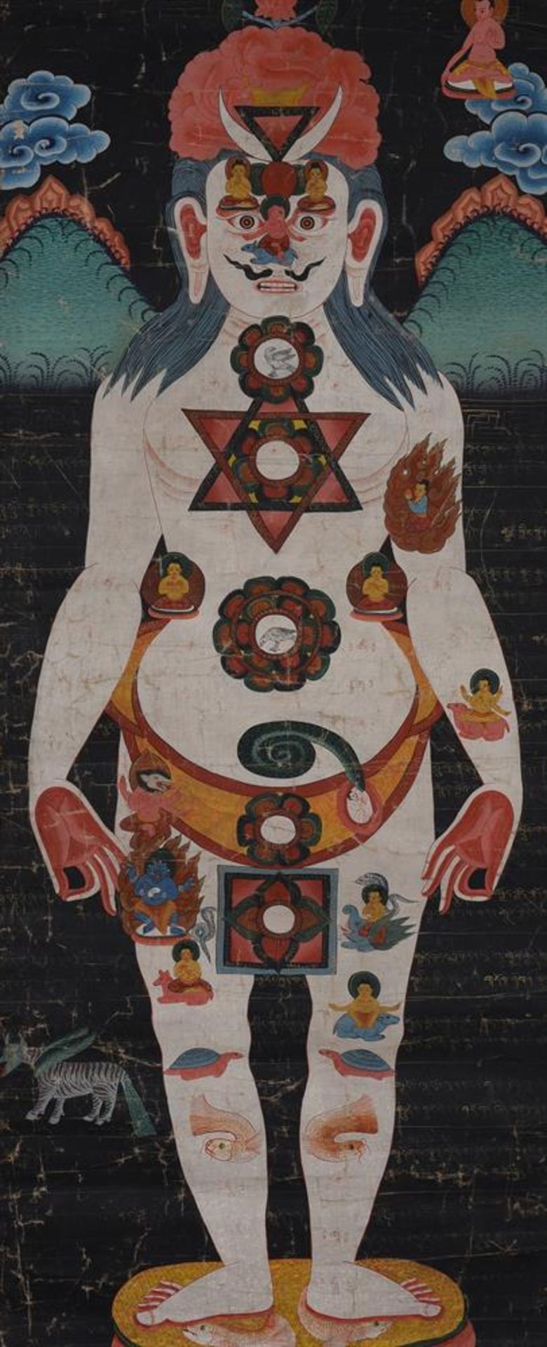 A Tibetan Medical Scroll