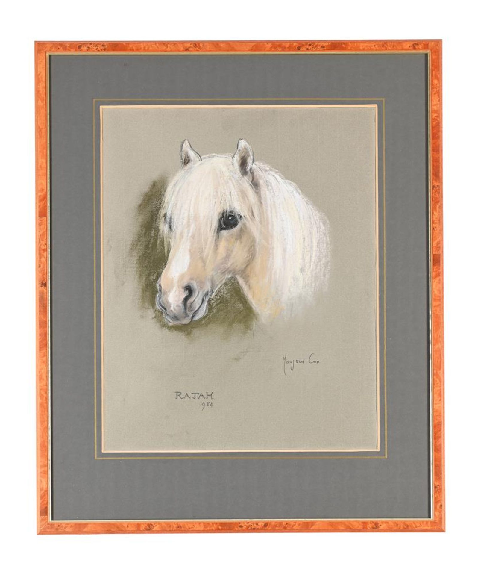 λ MARJORIE COX (BRITISH 1915-2003), TEN STUDIES OF DOGS AND HORSES - Bild 8 aus 11