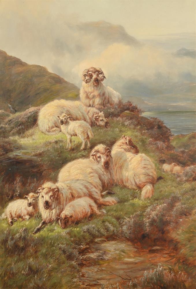 GEORGE MORISS (BRITISH 19TH CENTURY), HIGHLAND SHEEP RESTING