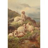 GEORGE MORISS (BRITISH 19TH CENTURY), HIGHLAND SHEEP RESTING