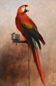 GEORGE COLE (BRITISH 1810 - 1883), PARROT ON A PERCH