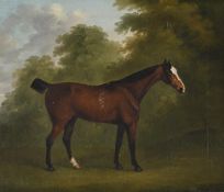 JOHN NOST SARTORIUS (BRITISH 1755-1828), A BAY HORSE IN A WOODED LANDSCAPE