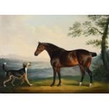 DANIEL CLOWES (BRITISH 1774-1829), A HORSE WITH A HOUND IN A WOODED LANDSCAPE