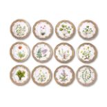 TWELVE ROYAL COPENHAGEN PORCELAIN 'FLORA DANICA'