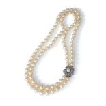 A TWO ROW CULTURED PEARL NECKLACE
