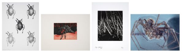 λ Various Artists, Bugs: a portfolio