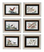SIX CHINESE PAINTINGS OF BIRDS, 19TH CENTURY