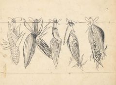 λ GRAHAM SUTHERLAND (BRITISH 1903-1980), STUDY FOR HANGING MAIZE