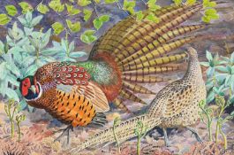 λ CHARLES FREDERICK TUNNICLIFFE (BRITISH 1901-1979), TWO PHEASANTS