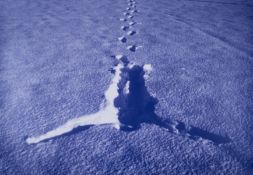 λ Antony Gormley (b.1950) Snowfall