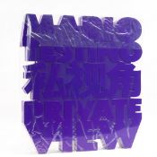 Mario Testino (b.1954) Private View