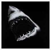 Robert Longo (b.1953), Untitled (Shark)