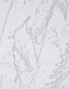 Andy Warhol (1928-1987) Mao, from The New York Collection for Stockholm Portfolio (Feldman & …