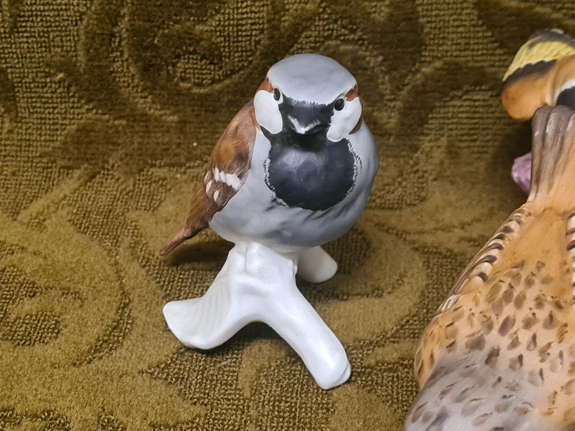 7 x Royal Worcester birds - Image 6 of 7