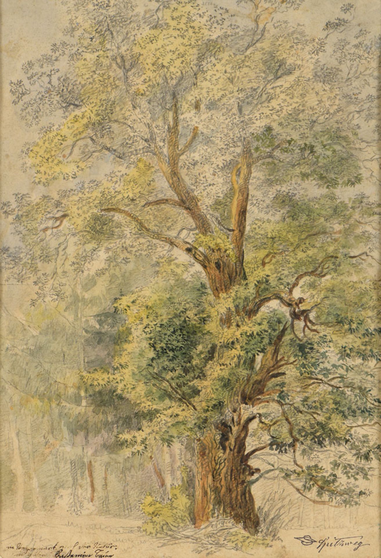 Spitzweg, Carl 1808 Unterpfaffenhofen - 1885 München