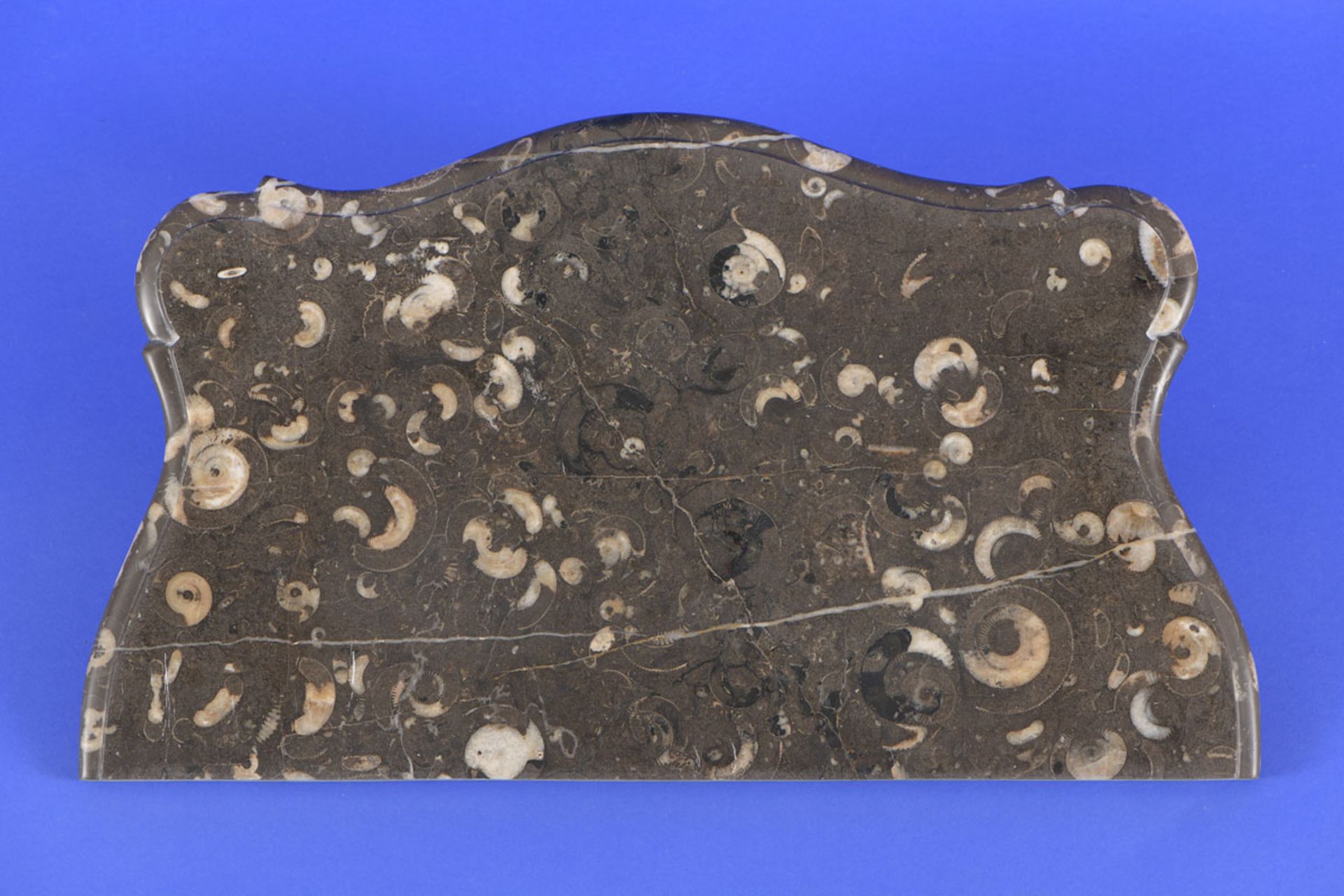 Einschübige Wandkonsole mit Fossilien Steinplatte Deutsch, Mitte 18. Jhdt. - Image 2 of 2
