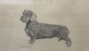 Graeme Sims (British 20th century): Wire Haired Dachshund or Sausage Dog