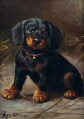 After Heinrich Sperling (German 1844-1924): 'Dachshund Puppy'