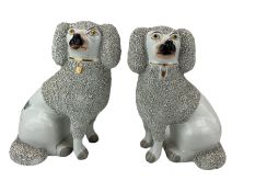 Pair of Staffordhire Poodles with part encrusted bodies