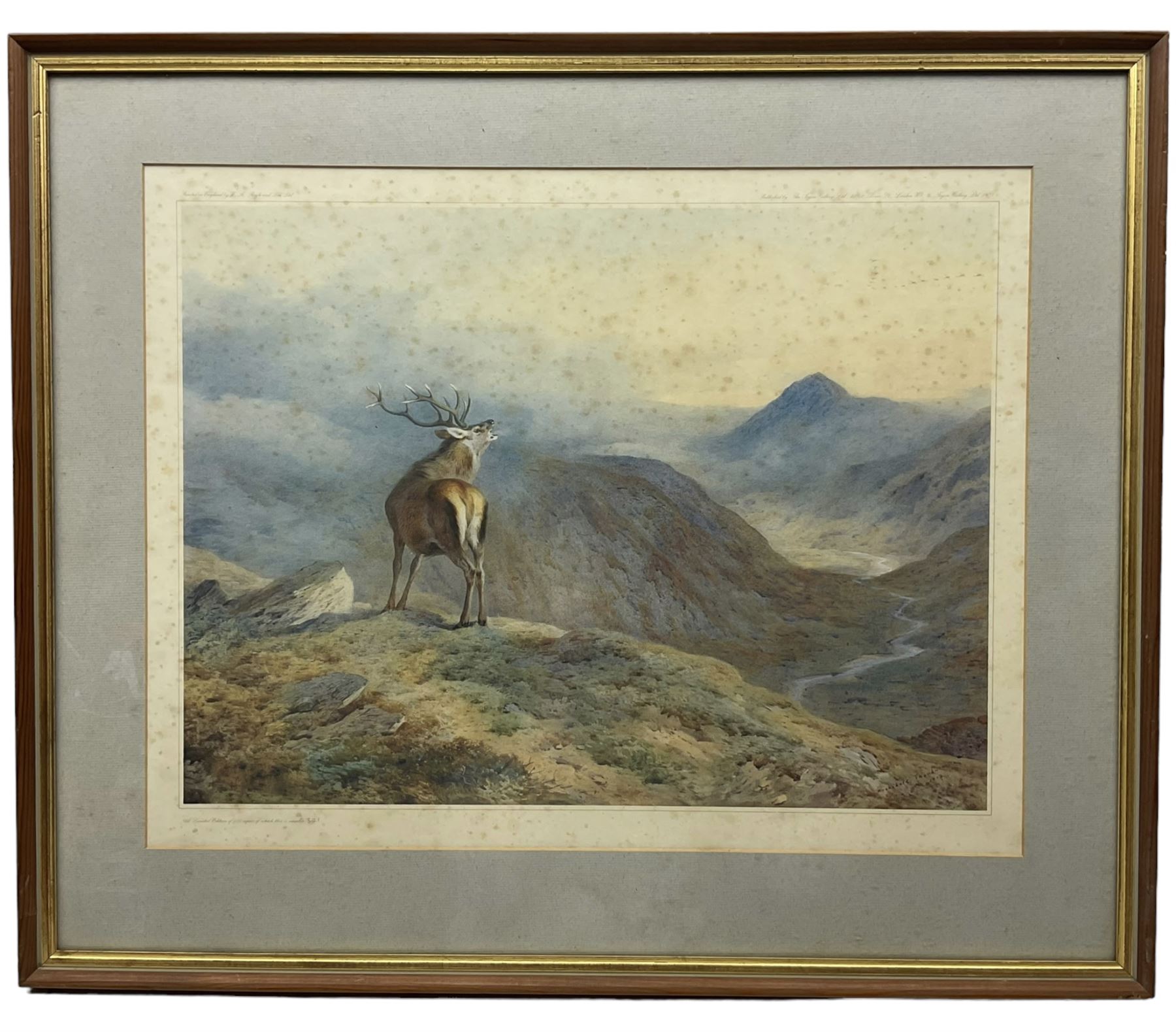 After Archibald Thorburn (Scottish 1860-1935): Highland Stag - Image 2 of 5