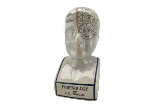 Ceramic Phrenology bust after L.N. Fowler - Image 1 of 2