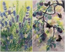 Jane Muir (British Contemporary): Butterflies with Lavender and Plums