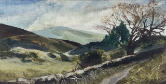 Joan Sutherland (British 20th century): 'Pathway in Miterdale' Lake District