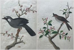 Chinese School (19th century): Red-Whiskered Bulbul and Black-Throated Laughingthrush in Blossom Tre
