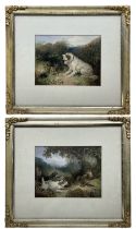 After George Armfield (British 1808-1893): The Two Terriers