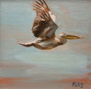 Francesca Saunders (British Contemporary): Pelican in Flight
