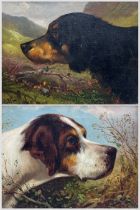 English School (Late 19th to early 20th century): Portrait of Two Hunting Dogs