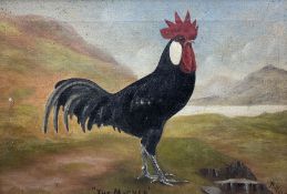 H Wood (Scottish Naïve School 19th century): 'The MacNab' Portrait of a Cockerel