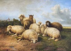 S Schuler (Continental 20th century): Sheep Resting in a Pasture