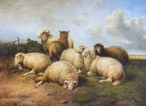 S Schuler (Continental 20th century): Sheep Resting in a Pasture