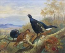 English School (Late 20th Century): Blackcock and Grouse