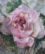 Sheila Catherine Bownas (British 1925-2007): Pink Rose