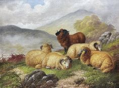 W Gray (British Naïve School Late 19th century): Sheep Grazing in a Highland Landscape