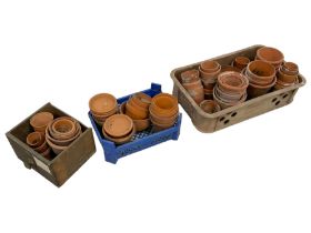 Quantity of terracotta plant pot