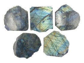 Five slabs of polished labradorite with raw edges