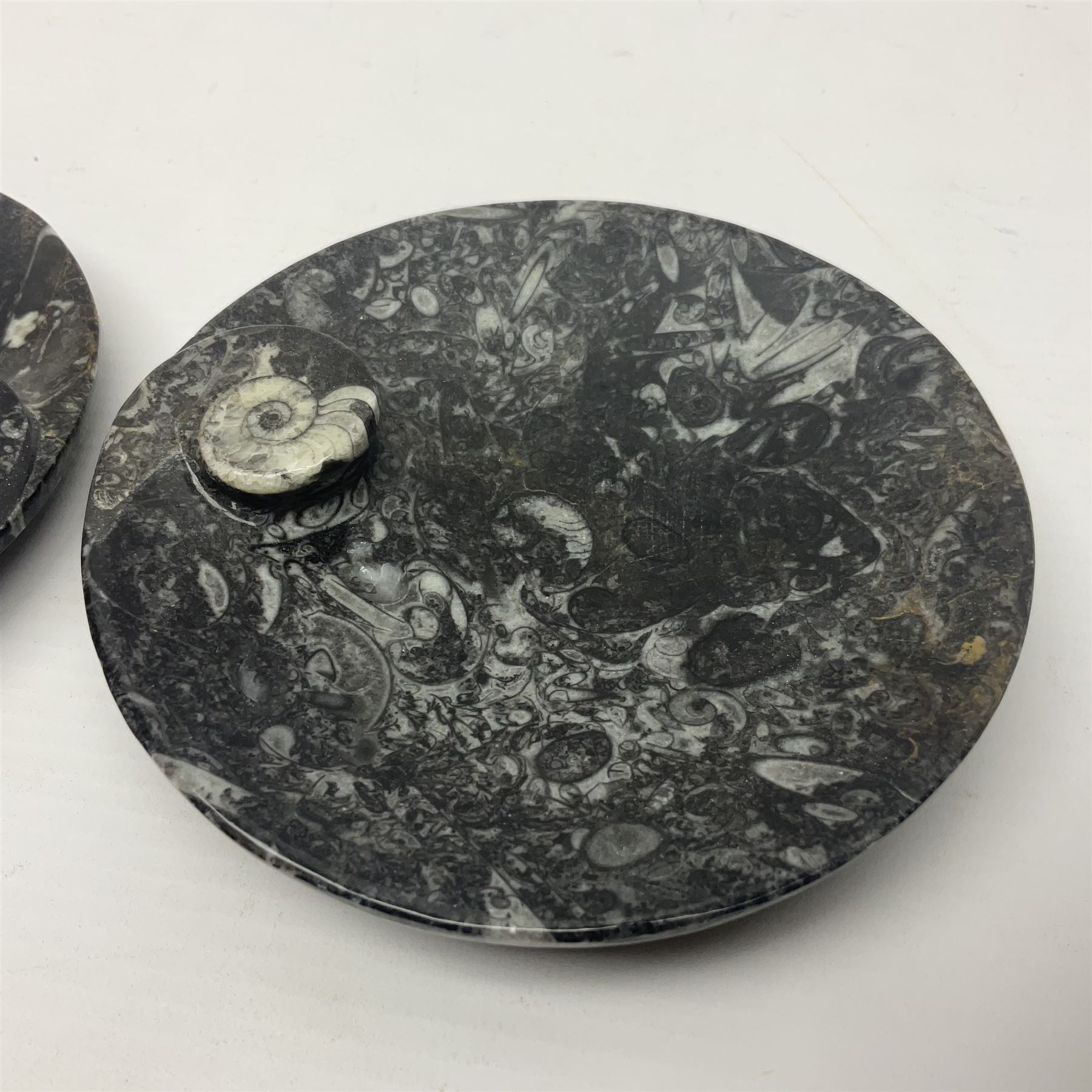 Pair of circular dishes with a raised goniatite and orthoceras and goniatite inclusions - Image 4 of 7