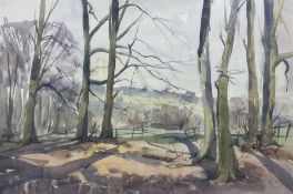 Angus Bernard Rands (British 1922-1985): Winter Sunlight through the Trees